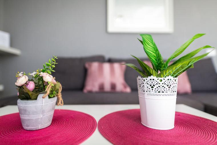 Nuevo Loft Vistas Lejlighed Corralejo Eksteriør billede